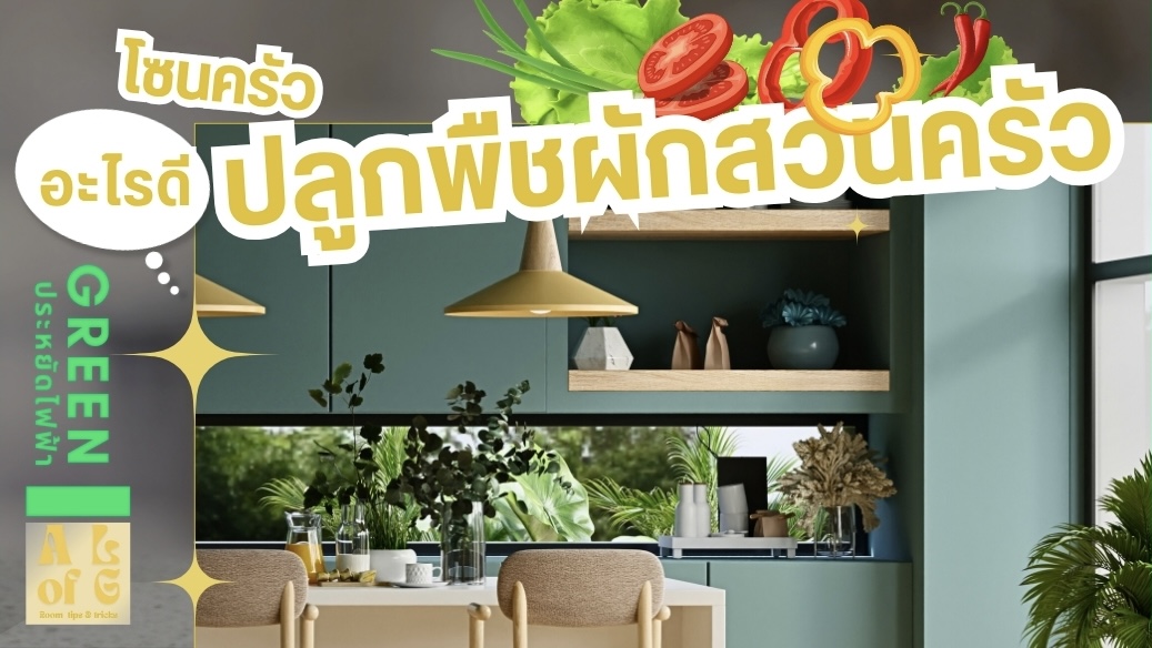 หลังบ้าน ปลูกผักสวนครัวอะไรดี -KitchenRoom